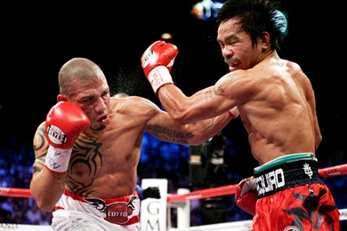 How Well Do You Know Miguel Cotto And Canelo Alvarez?