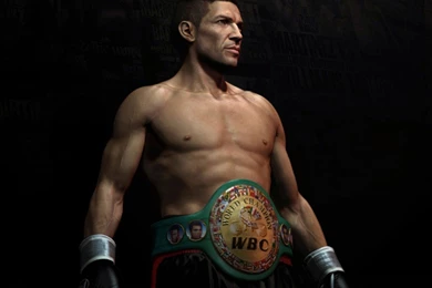 World Boxing Council