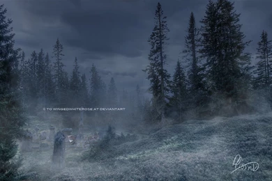 Premade Backgrounds Foggy Forest + Graveyard   C By Wingedwhiterose ...