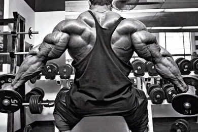 Body Building HD Wallpapers