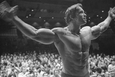 Bodybuilder Wallpapers, Desktop Wallpapers » GoodWP.com