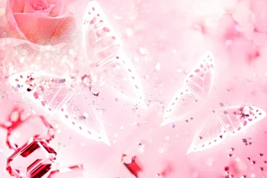 1331) Pink Butterfly Photo Wallpapers   WalOps.com