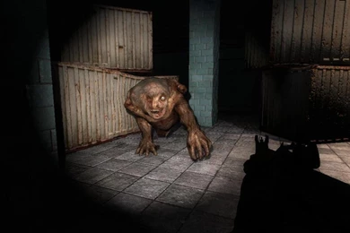 Download Free HQ Monsters Wallpapers   Hqwallbase.pw