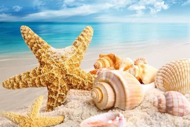 Beautiful Love Wallpapers   The Most Beautiful Scenery In The ...