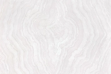 ZAK+FOX – Apparatus