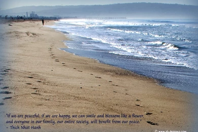 Desktop Wallpapers With Peace Quote By Martin Luther King, Jr ...