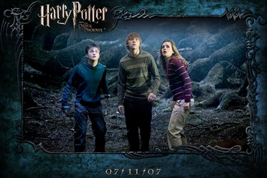 Harry Potter   Harry Potter Wallpapers (122700)   Fanpop