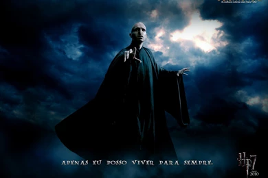 Harry Potter DH Wallpapers By Oclumencia   Harry Potter Wallpapers ...