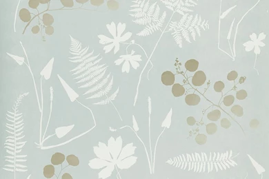 Modern Botanical Wallpapers