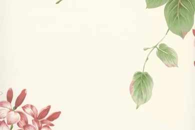 Coastal Nautical Wallpapers Coastal Waters Volume Ii Shop ...