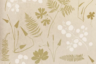 Modern Botanical Wallpapers