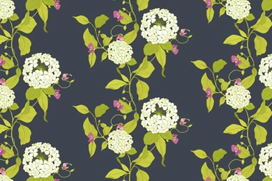 Hydrangea Collection — Melissa Crowley