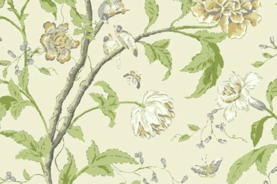 Carey Lind Vibe Teahouse 27' X 27" Floral And Botanical Wallpapers ...