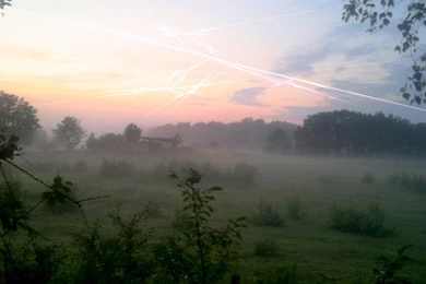 The Official JWildfire Blog