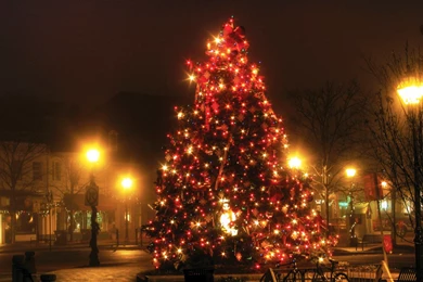 Christmas Wallpapers   Christmas Day 25