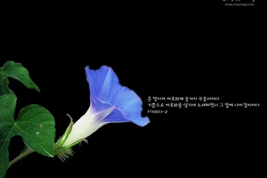 圣经福音诗歌风景壁纸  圣经箴言风景壁纸1024x768 NO.29 Desktop ...