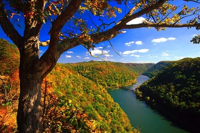 Rivers: Hawks Nest State Park West Virginia Autumn Hills Forest ...