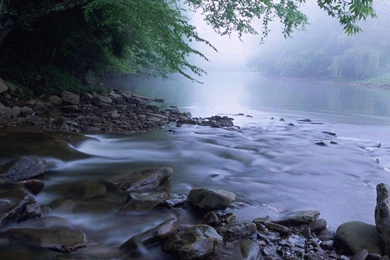 Free Wvu Wallpapers   Wallpapers Cave