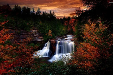 Blackwater State Park Wallpapers » WallDevil   Best Free HD Desktop ...