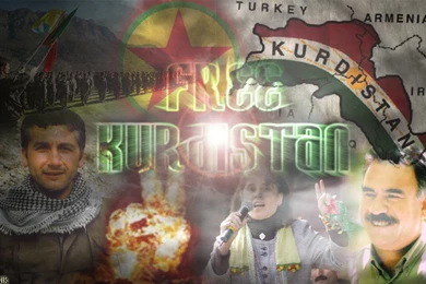 Gerilla   DeviantArt