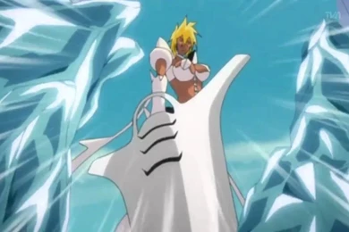 Bleach AMV: Hitsugaya Toushiro Vs. Tier Halibel It's My Life   YouTube