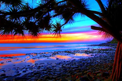 Tropical Beach Sunset Hd Wallpapers Pictures Photos Images
