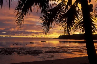 Beautiful Beach Sunsets   1454641