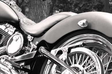 Download Harley Davidson Iphone Wallpapers   GreenHatWorld A Free ...