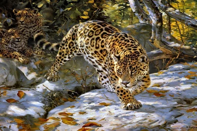 23 The Jaguar Spotted Cat Wold Big Animals HD Wallpapers 426 ...