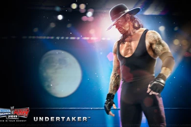 Download Undertaker WWE HD 1920 X 1200 Wallpapers 2826079