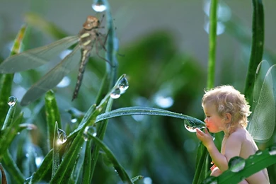 Jestingstock.com Baby Fairy Wallpapers