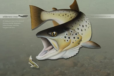 Downloads Wallpapers   104243