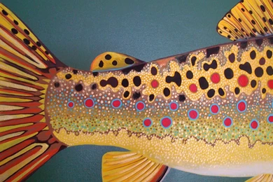 Jestingstock.com Brown Trout Skin Wallpapers