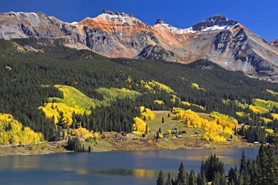 Yellow Head Colorado Lakes Colors Trout Wallpapers