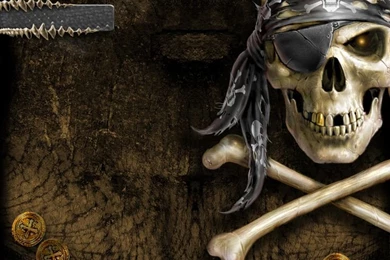 Image Detail For Free Pirates Skull Wallpapers Download The Free ...