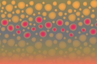 Brook Trout Backgrounds