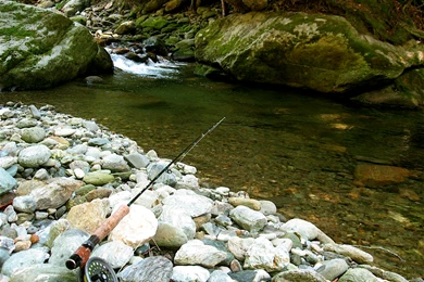 Woods Wanderer » Fly Fishing