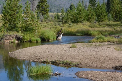 Trout Stream Wallpapers   Wallpaper.