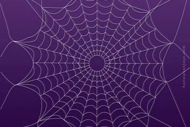 Pics, Facts, Funny Stuff About Animals & Nature Spider Web ...