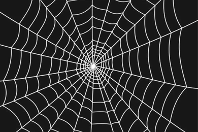 Set Of Spider Web Vector Backgrounds 05 Vector Backgrounds Free ...