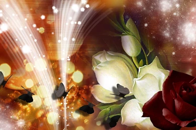 Enigma >> HD Wallpaper, Get It Now!