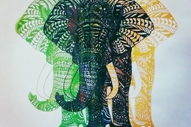 Elephant Backgrounds On Pinterest