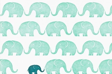 Elephants ♡ On Pinterest