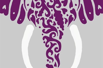 Elephants By Bethan Janine