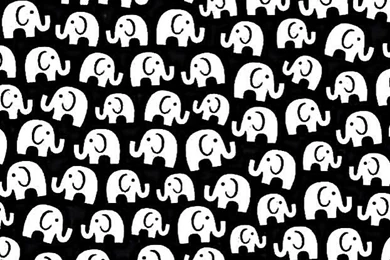 Cute Elephant Wallpapers