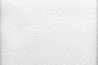 Styrene Raised Stucco Texture Paintable Wallpapers Bolt ...