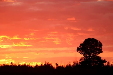 Landscape Wonderful Nature Quality Sunset Backgrounds Picture ...