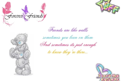 Funny Wallpapers Hd Quotes And Sayings New