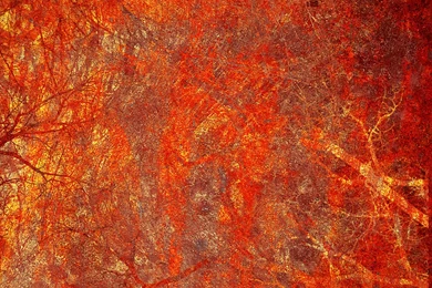 Red Gold Wallpapers   Wallpapers HD Fine