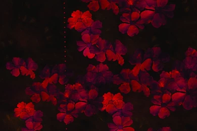 Collection Of Brightly Glowing Wallpapers